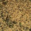 Chick’n Good Seasoning - Image 2
